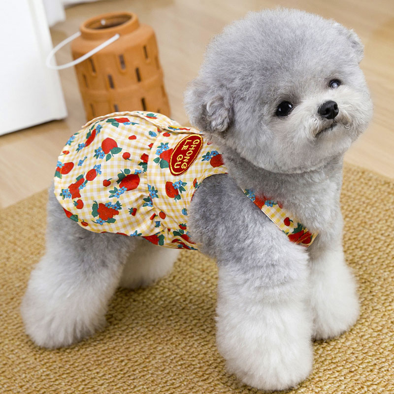 Sweet Dog Clothes Summer Blue  - Yellow Summer Clothing ulasan dan harga
