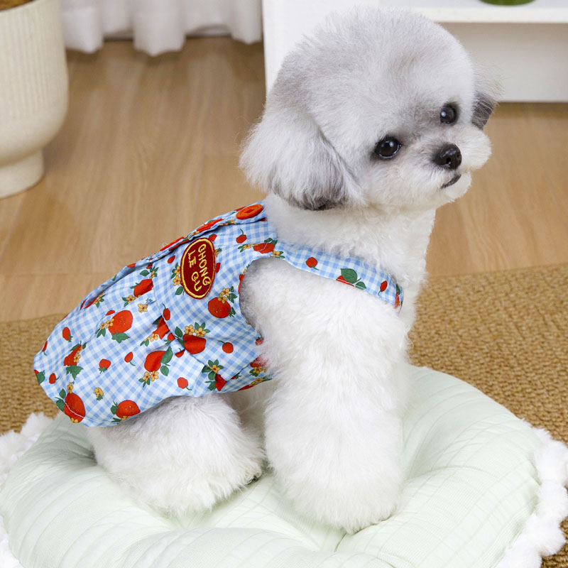 Sweet Dog Clothes Summer Blue  - Yellow Summer Clothing ulasan dan harga