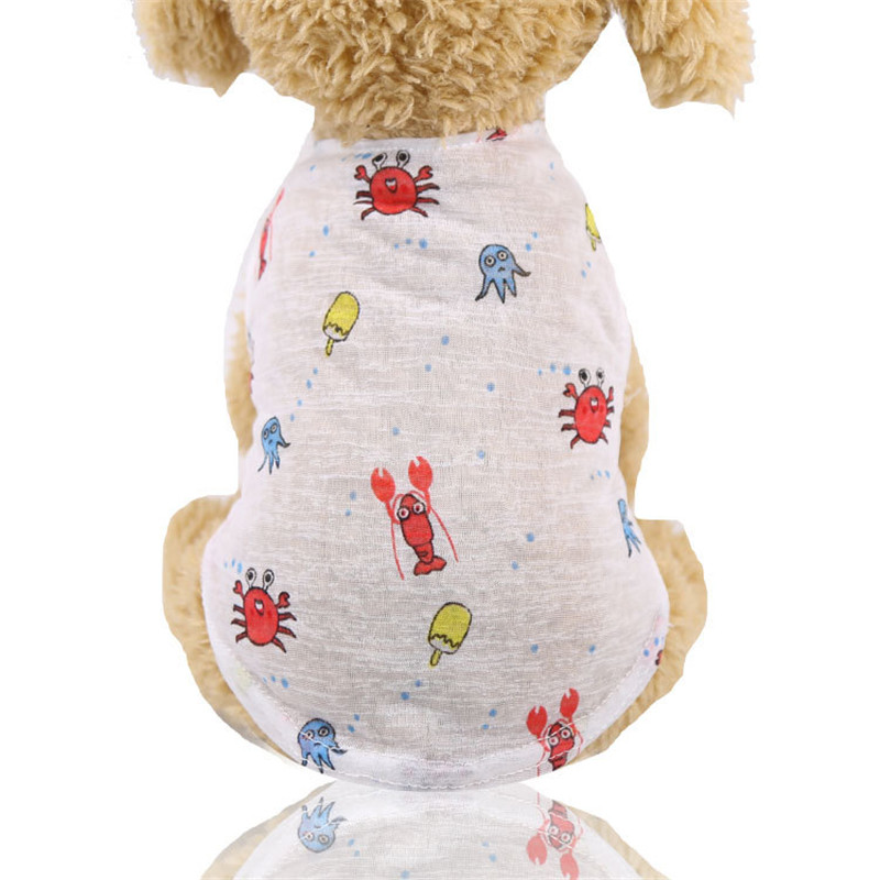5 Colors Summer Lovely Cartoon - Summer Clothing Colors ulasan dan harga
