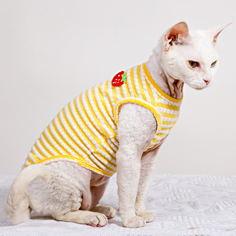 Summer T-Shirt for Sphynx Cat  - Soft Summer Yellow Clothing ulasan dan harga