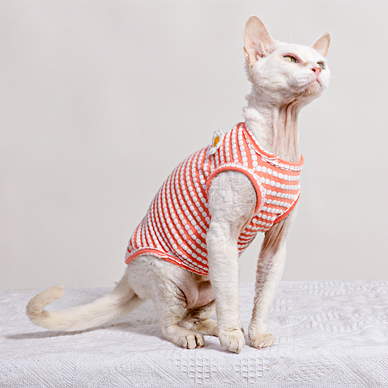 Summer T-Shirt for Sphynx Cat  - Soft Summer Yellow Clothing ulasan dan harga