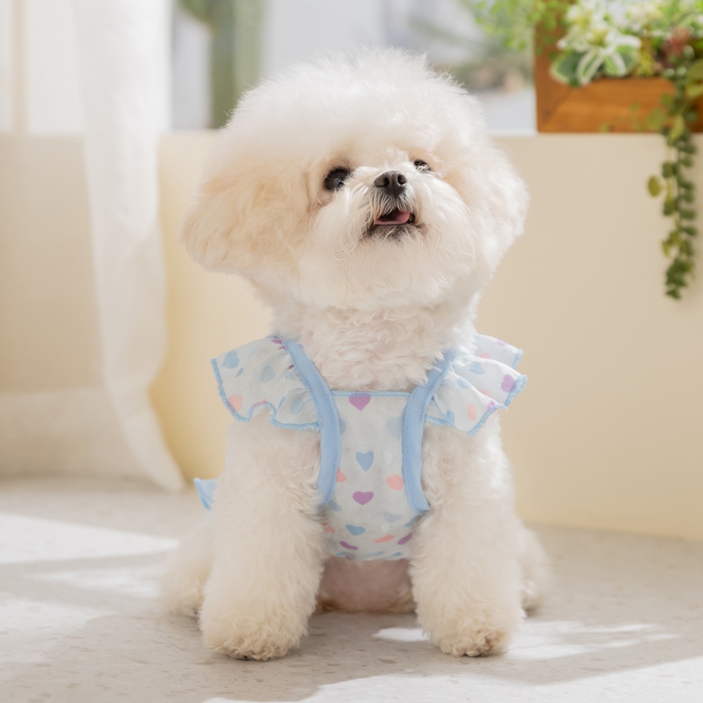 Yellow Love Dog Clothes Summer - Soft Summer Yellow Clothing ulasan dan harga