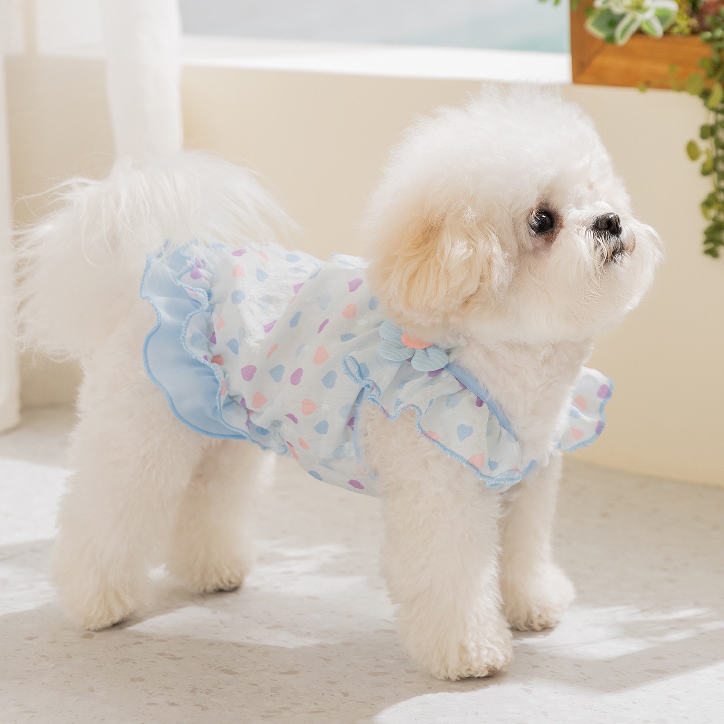 Yellow Love Dog Clothes Summer - Soft Summer Yellow Clothing ulasan dan harga