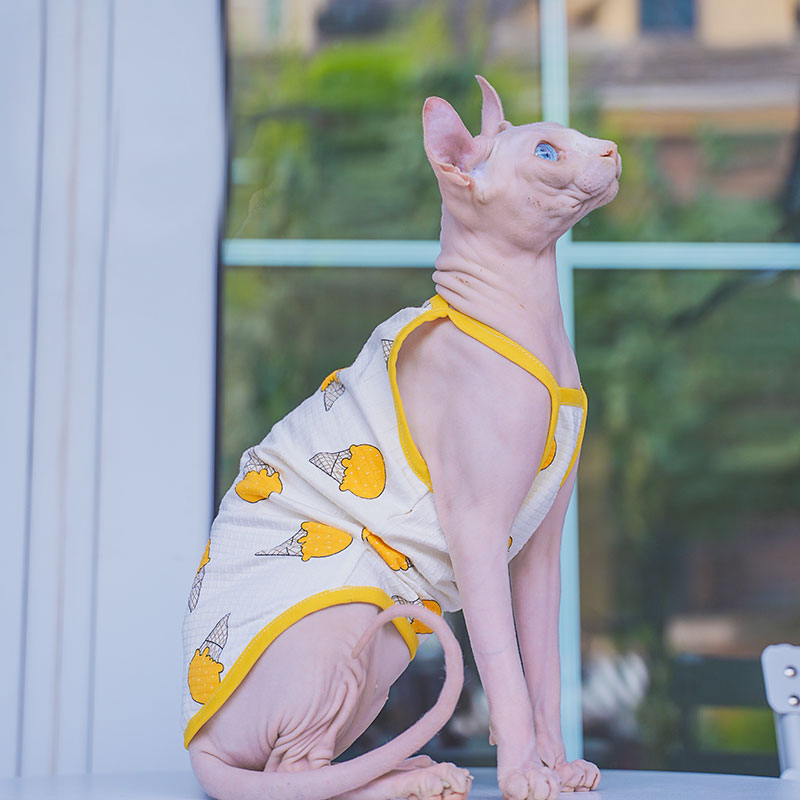 Sphynx Cat Clothing Sphinx Cot - Soft Summer Yellow Clothing ulasan dan harga